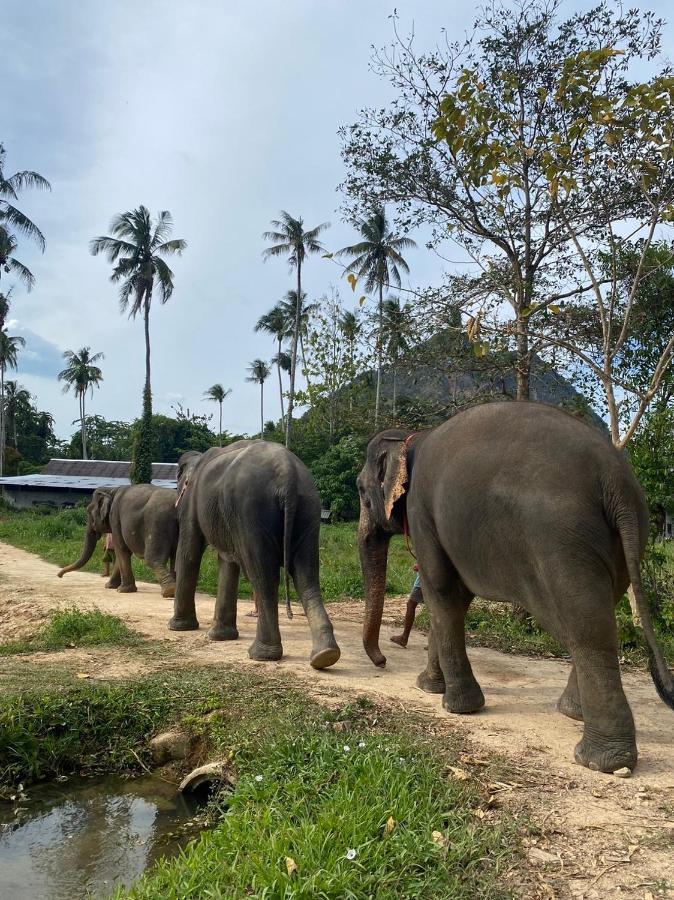 Amadha Villas Retreat - Free Tuk-Tuk Service To The Beach Ao Nang Buitenkant foto